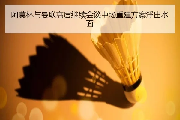 阿莫林与曼联高层继续会谈中场重建方案浮出水面